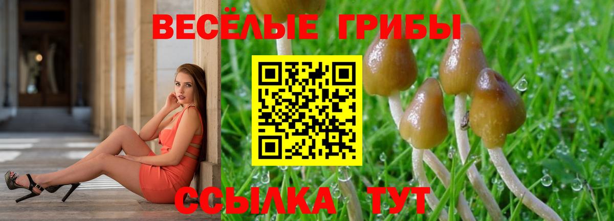 Белая Калитва  Галлюциногенные грибы мицелий  Псилоцибиновые грибы мухоморы  Вход с VPN 